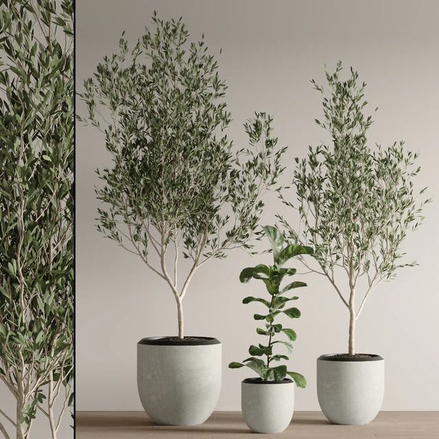 indoor plant set 43 — Descargar