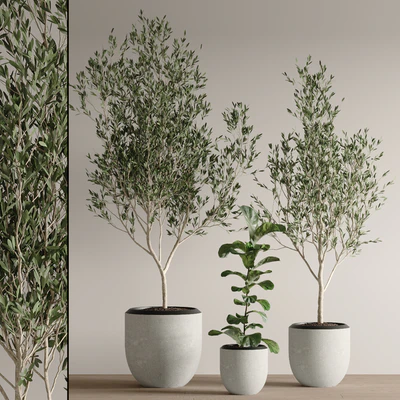 indoor plant set 43 — Ver 2