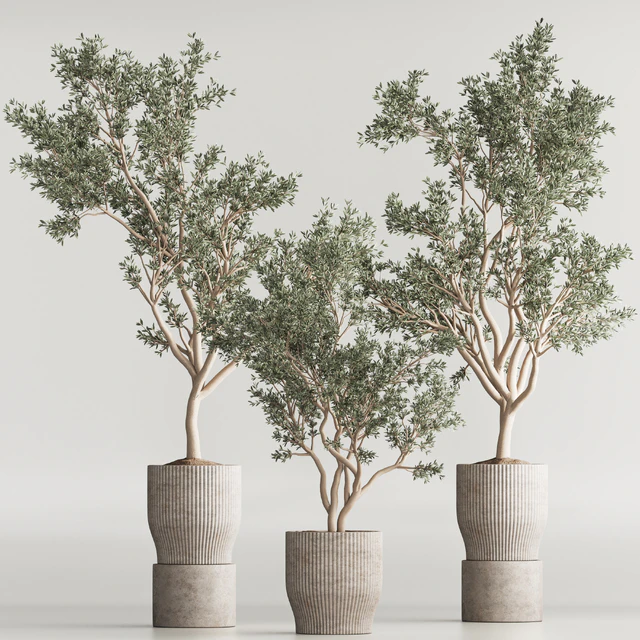 Indoor Plant Set 58 — Descargar