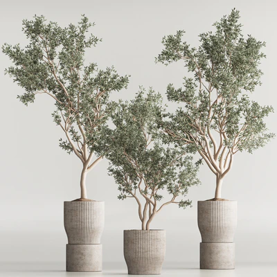 Indoor Plant Set 58 — Ver 3