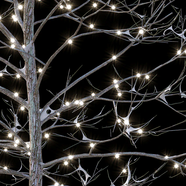 Trees in the snow with a luminous garland — Descargar