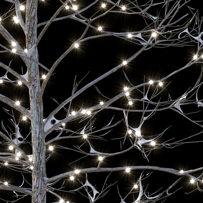 Trees in the snow with a luminous garland — Ver 3