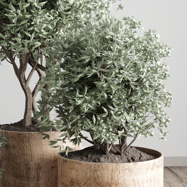 collection Indoor plant 42-wood vase — Скачать