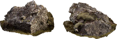 icelandic mossy rock 007 — Скачать