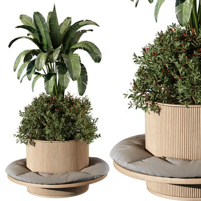 indoor Plant 249 — скачать
