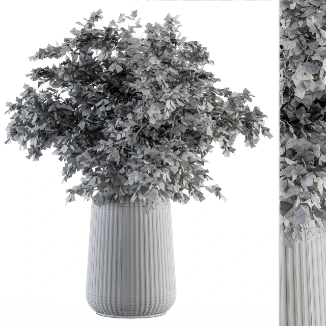 Dry plants 46 - Dried Plant Bouquet — Descargar