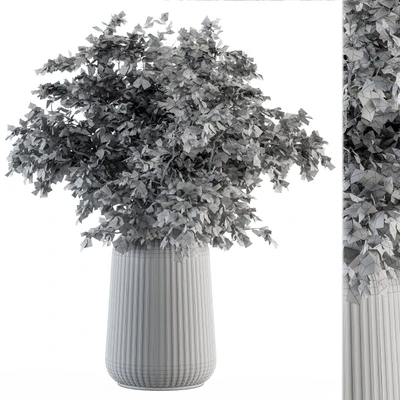 Dry plants 46 - Dried Plant Bouquet — Ver 3