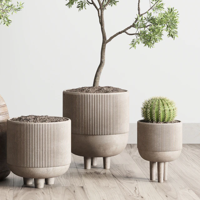 collection indoor outdoor plant 114 vase concrete wood old pot tree cactus — Скачать
