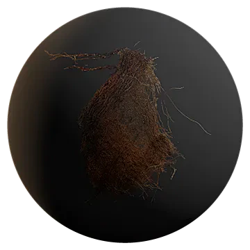 palm tree bark 003 — Descargar