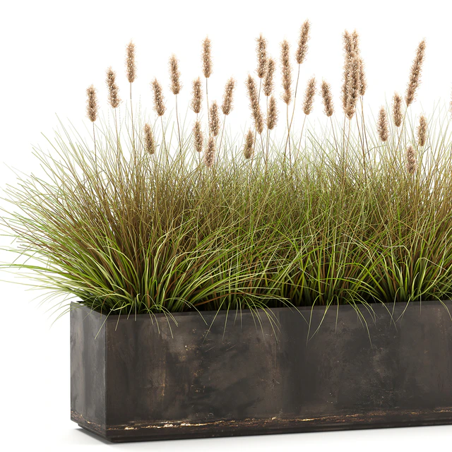 Outdoor metal pot in the bushes Pampas grass, flowerpot, flowerbed, reed. 905. — Descargar