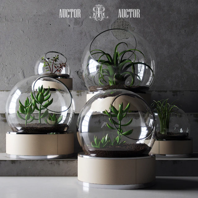 plant set ART Auctor — Descargar