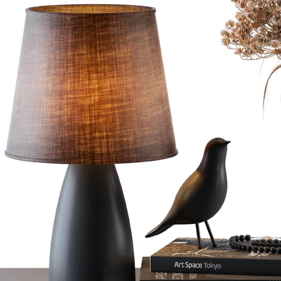 Decorative Set Lampshade with Dried Plants — Ver 2