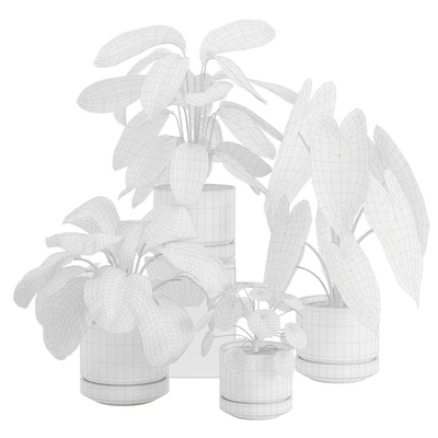 Indoor Plant Pack 30 — View 2