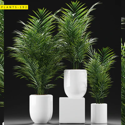 PLANTS 193 — Ver 1