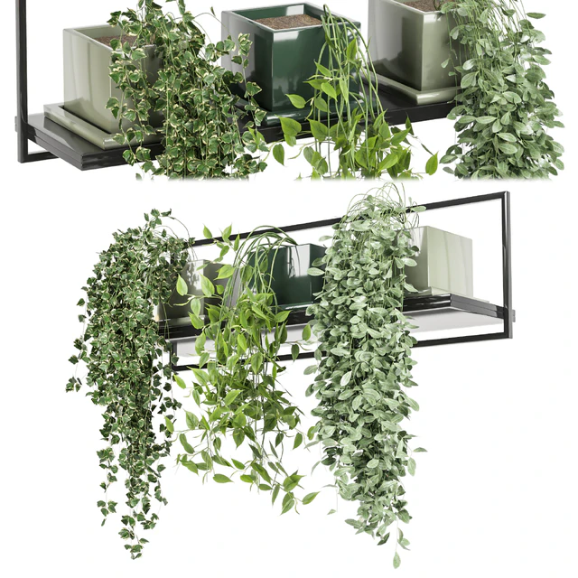 indoor plants in rusty concrete pot on metal shelf - Set 107 — Скачать