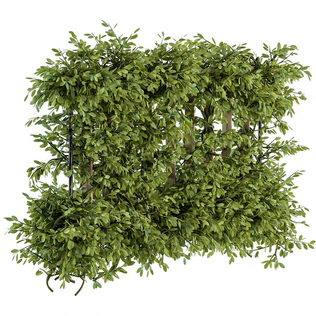Outdoor Wood Fence with Ivy Plants - Fence 07 — Скачать