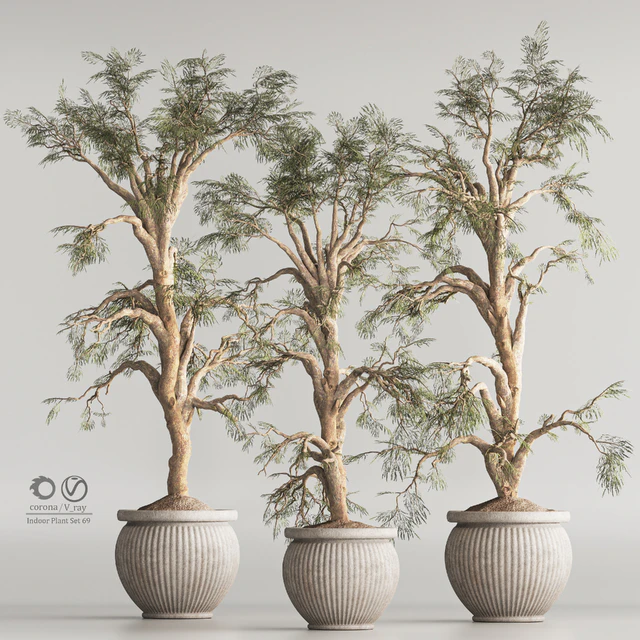 Indoor Plant Set 69 — Скачать