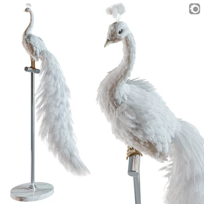 Artificial White Peacock 01. — Вид 1