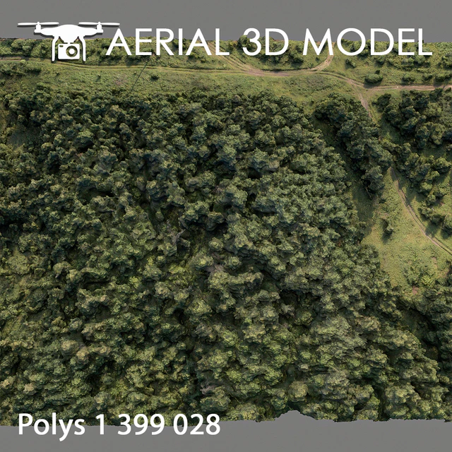 Forest 74 — Descargar