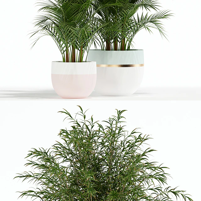 Plants collection 136 — Скачать