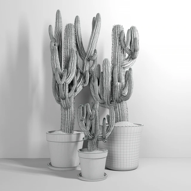 Set of Three Cactuses Carnegiea — Скачать
