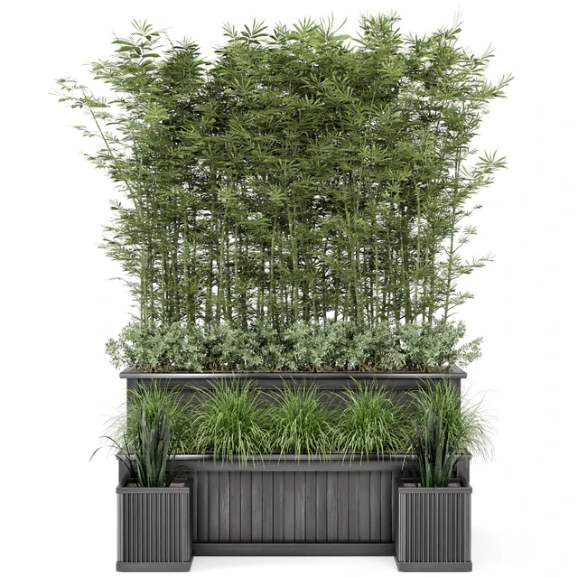 Outdoor Plants Bamboo and bush in Wooden Pot -Set 195 — Скачать