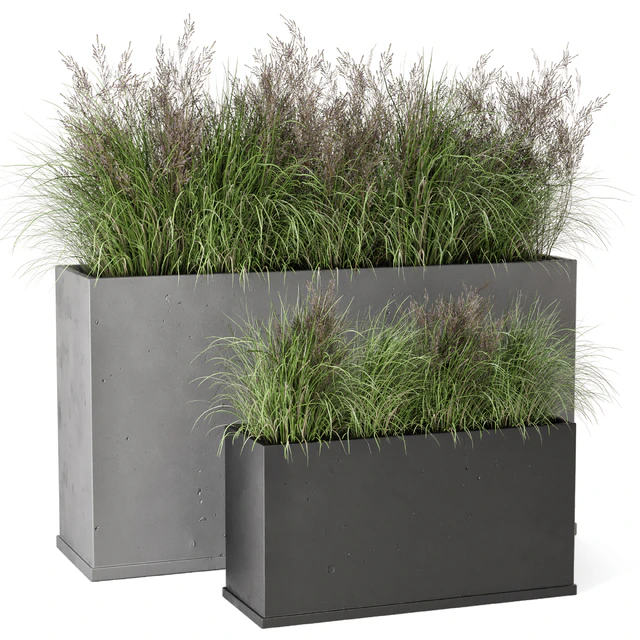 Outdoor Plants Bush in rusty Concrete Pot - Set 565 — Descargar