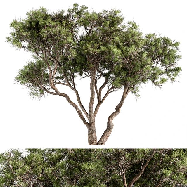 Stone Pine Tree Set 190 — Скачать
