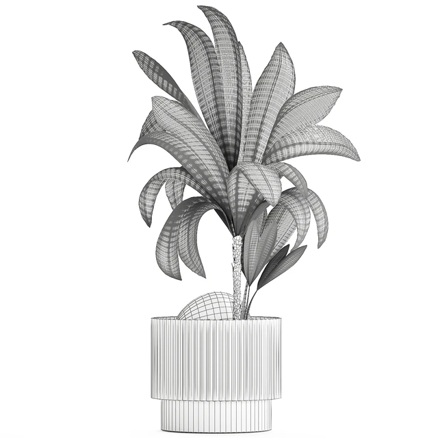 Коллекция растений 1457 — Скачать