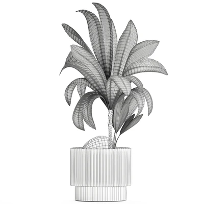 Коллекция растений 1457 — Вид 2