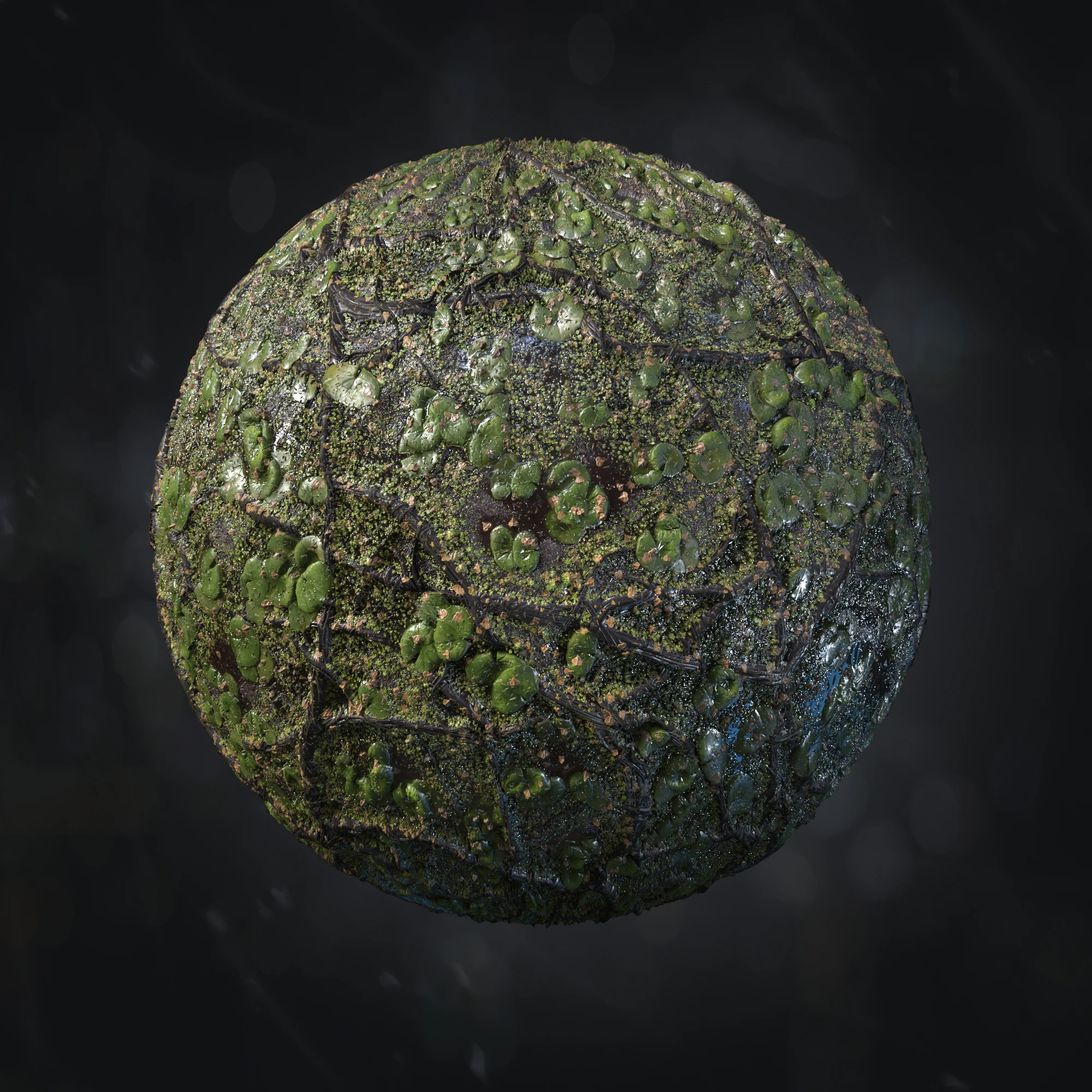 swamp 018 — Descargar