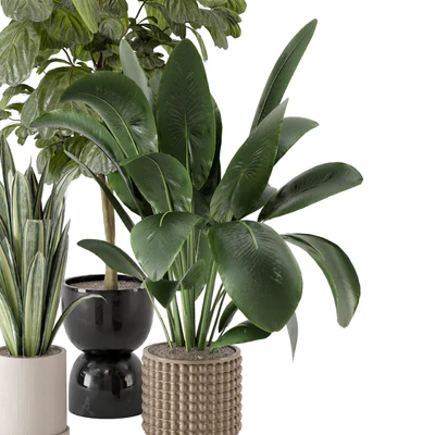 Indoor Plants in Ferm Living Bau Pot Large - Set 1044 — Ver 3