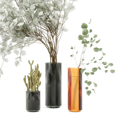 Indoor Plants  Cactus & Eucalyptus whit Glass Pots - Set 38 — Вид 3