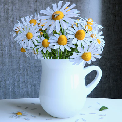 Bouquet of daisies — Ver 1