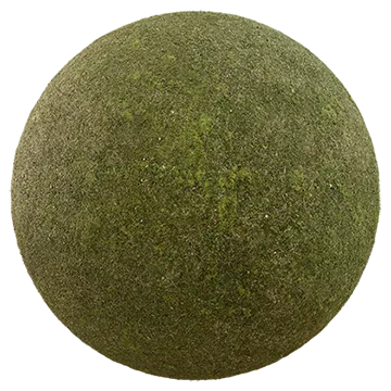 wild mossy grass 002 — Descargar