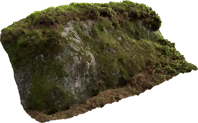 nordic forest ledge rock large 007 — Descargar