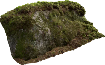 nordic forest ledge rock large 007 — Descargar