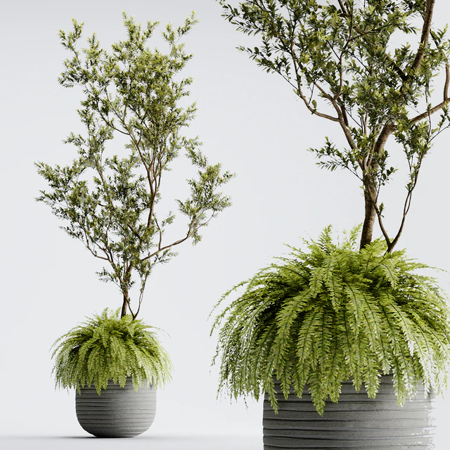 Indoor Plant 01 - ORGANIKA — Descargar