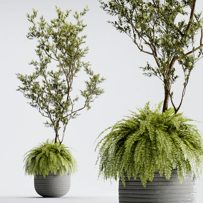 Indoor Plant 01 - ORGANIKA — Ver 1