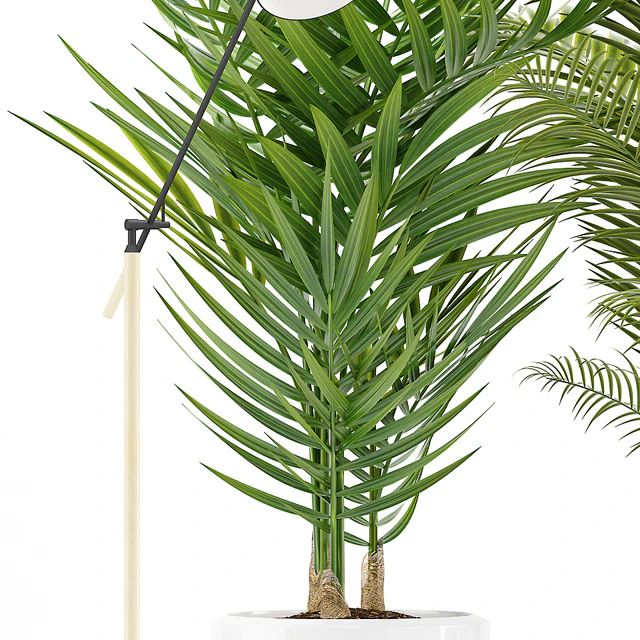 PLANTS 191 — Descargar