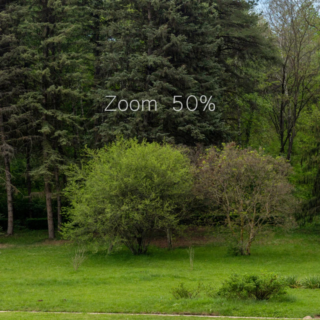 Panorama from the park v2. 30k — Descargar