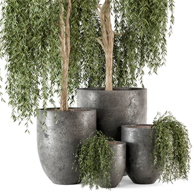 Outdoor Plants bush and Tree in rusty Dark Concrete Pot - Set 52 — Ver 2
