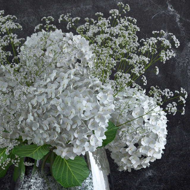 Bouquet of Gypsophila with Hyndrangeas — Скачать