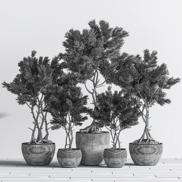 Indoor Plant Set 76 — Download