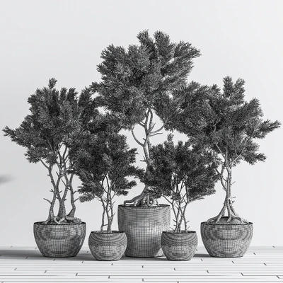 Indoor Plant Set 76 — View 2