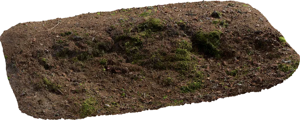 mossy embankment 005 — Descargar