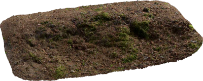 mossy embankment 005 — Descargar