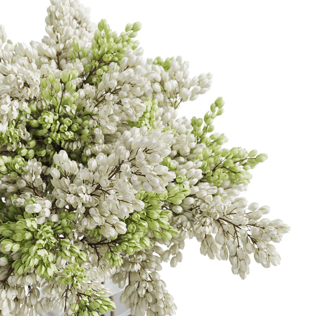 Bouquet 022 — Скачать
