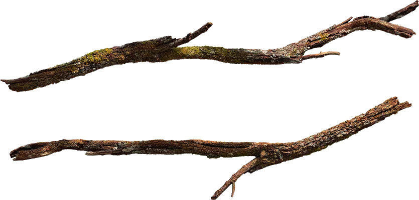 mossy branch 002 — Скачать