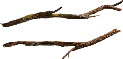 mossy branch 002 — Скачать